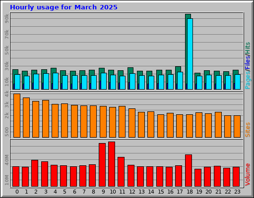 Hourly usage for March 2025