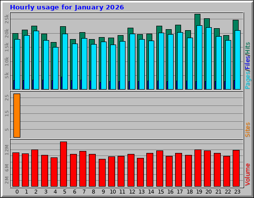 Hourly usage for January 2026